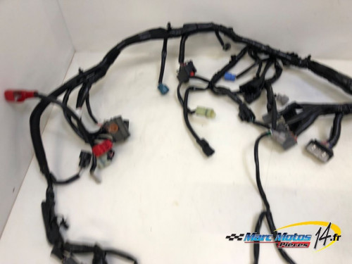 FAISCEAU KAWASAKI Z900 A2 2023