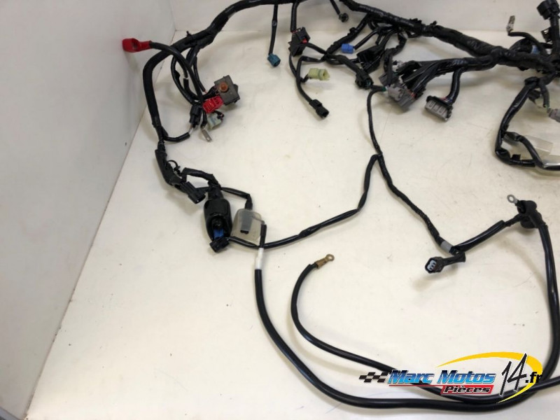 FAISCEAU KAWASAKI Z900 A2 2023