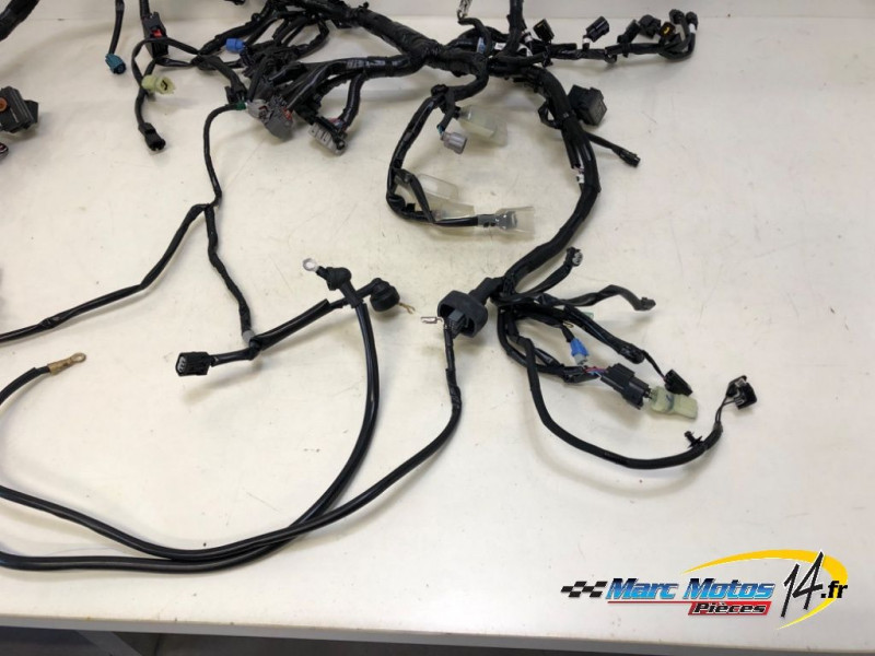 FAISCEAU KAWASAKI Z900 A2 2023