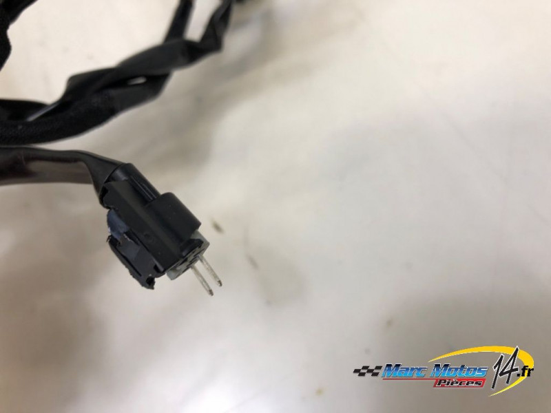 FAISCEAU KAWASAKI Z900 A2 2023