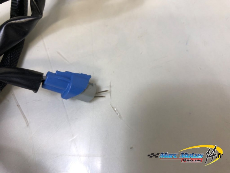 FAISCEAU KAWASAKI Z900 A2 2023