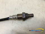 SONDE LAMBDA KAWASAKI Z900 A2 2023