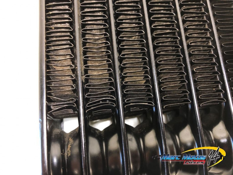 RADIATEUR D'HUILE HARLEY-DAVIDSON 1200 XR X SPORTSTER 2009